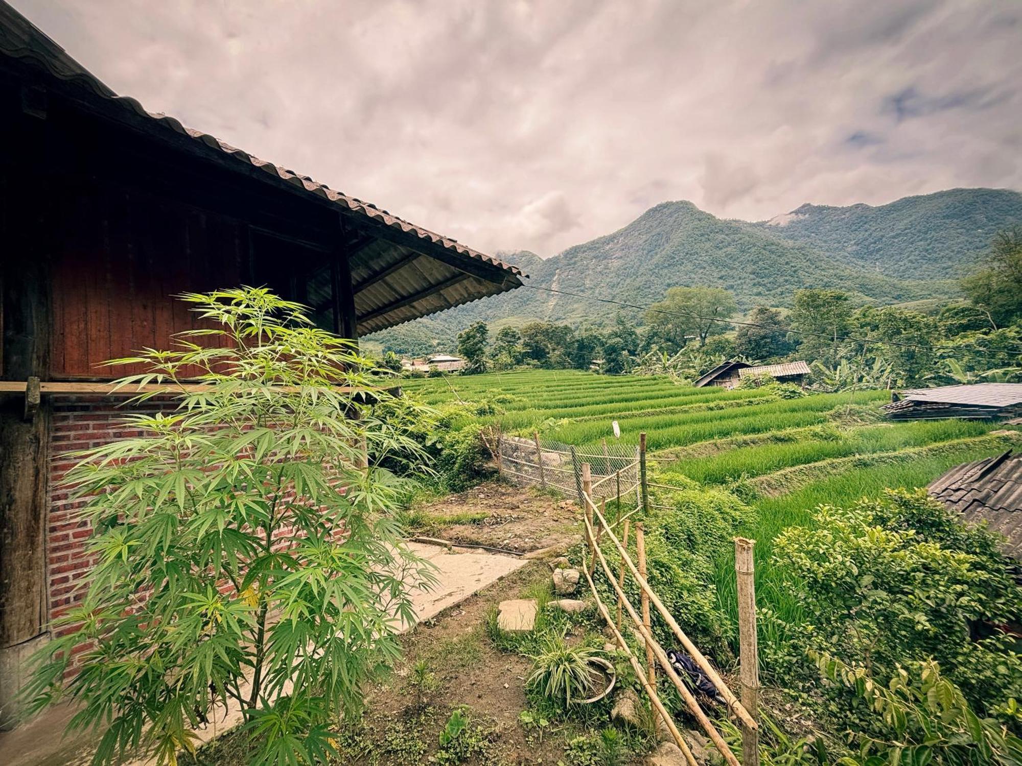 Sapa Tranquilla Apartment Luaran gambar