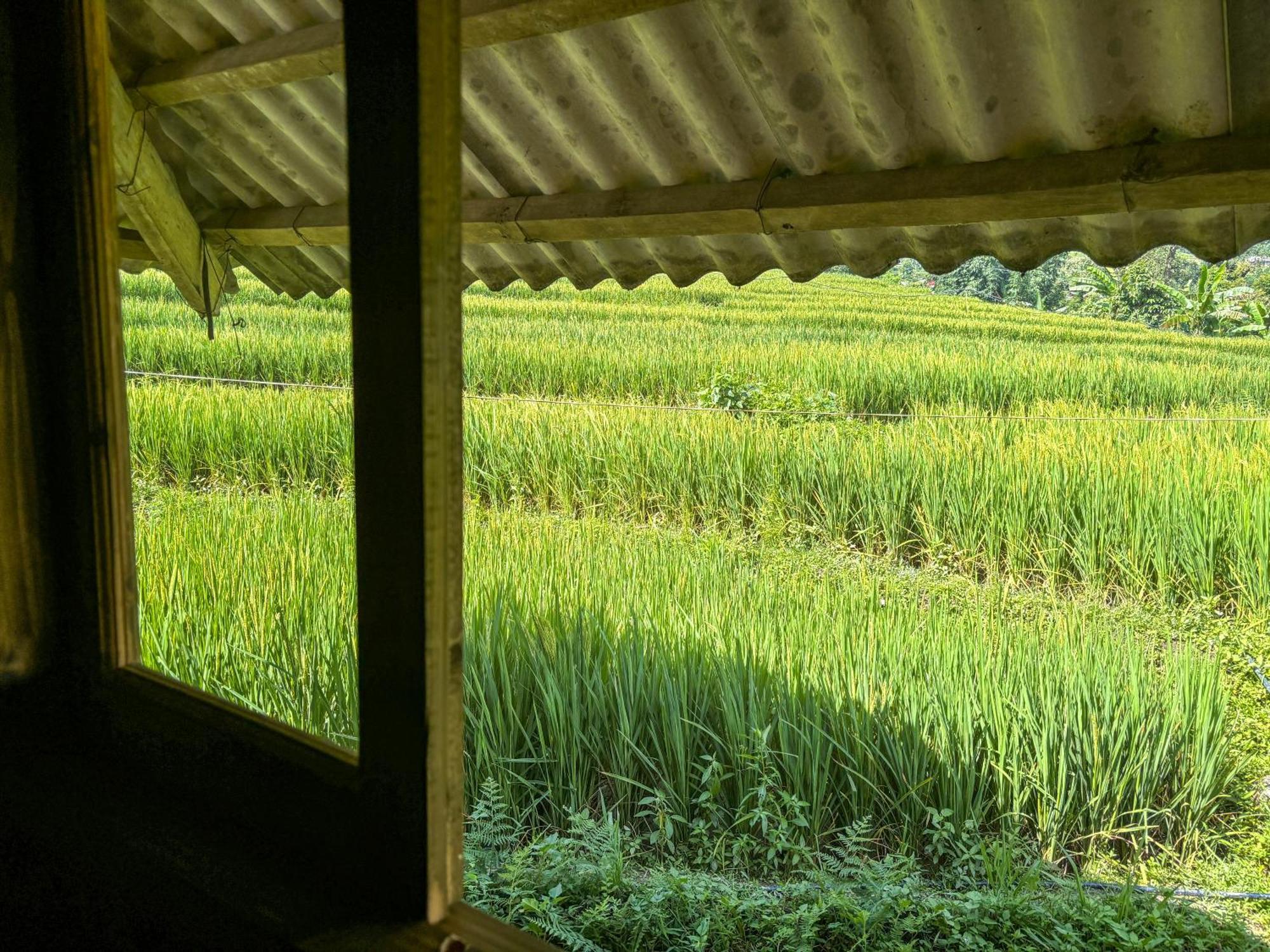 Sapa Tranquilla Apartment Luaran gambar